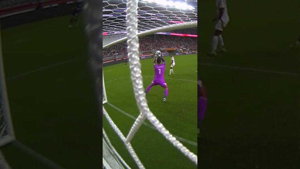 Hugo Lloris | Goal on lockdown π Hugo Lloris | Goal on lockdown π