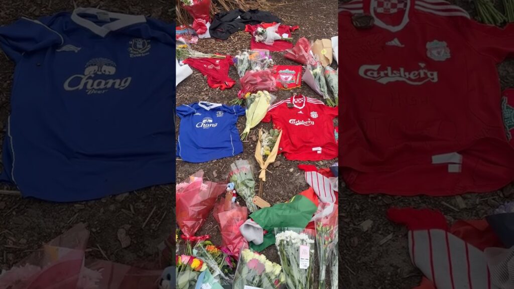 RIP, Diogo Jota and André Silva. From everyone at Everton Football Club 💙❤️