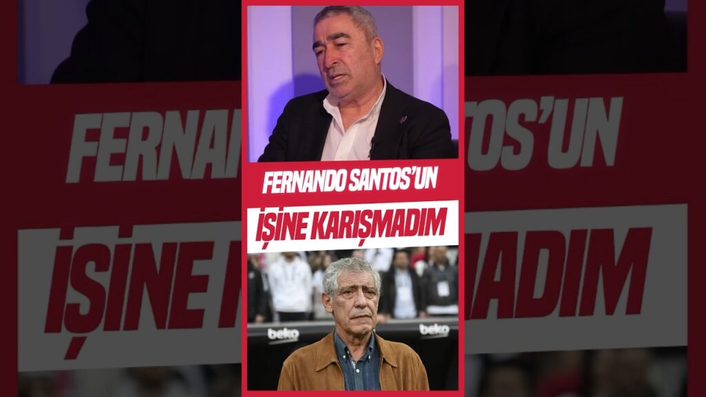 Samet Aybaba: Fernando Santos’un İşine Karışmadım