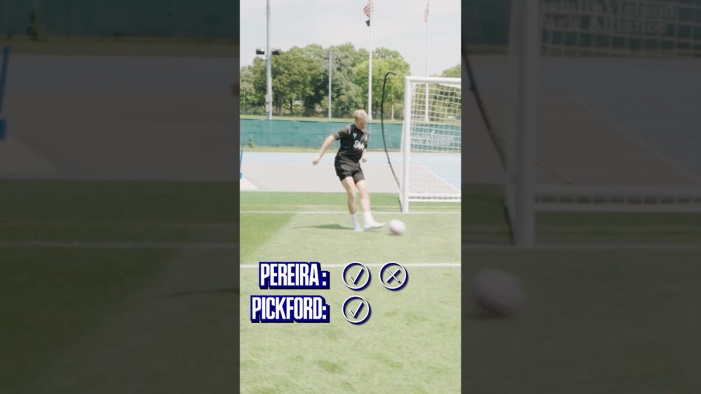 From the Octagon to the spot… Alex Pereira vs Pickford 👊⚽️  #everton  #ufc