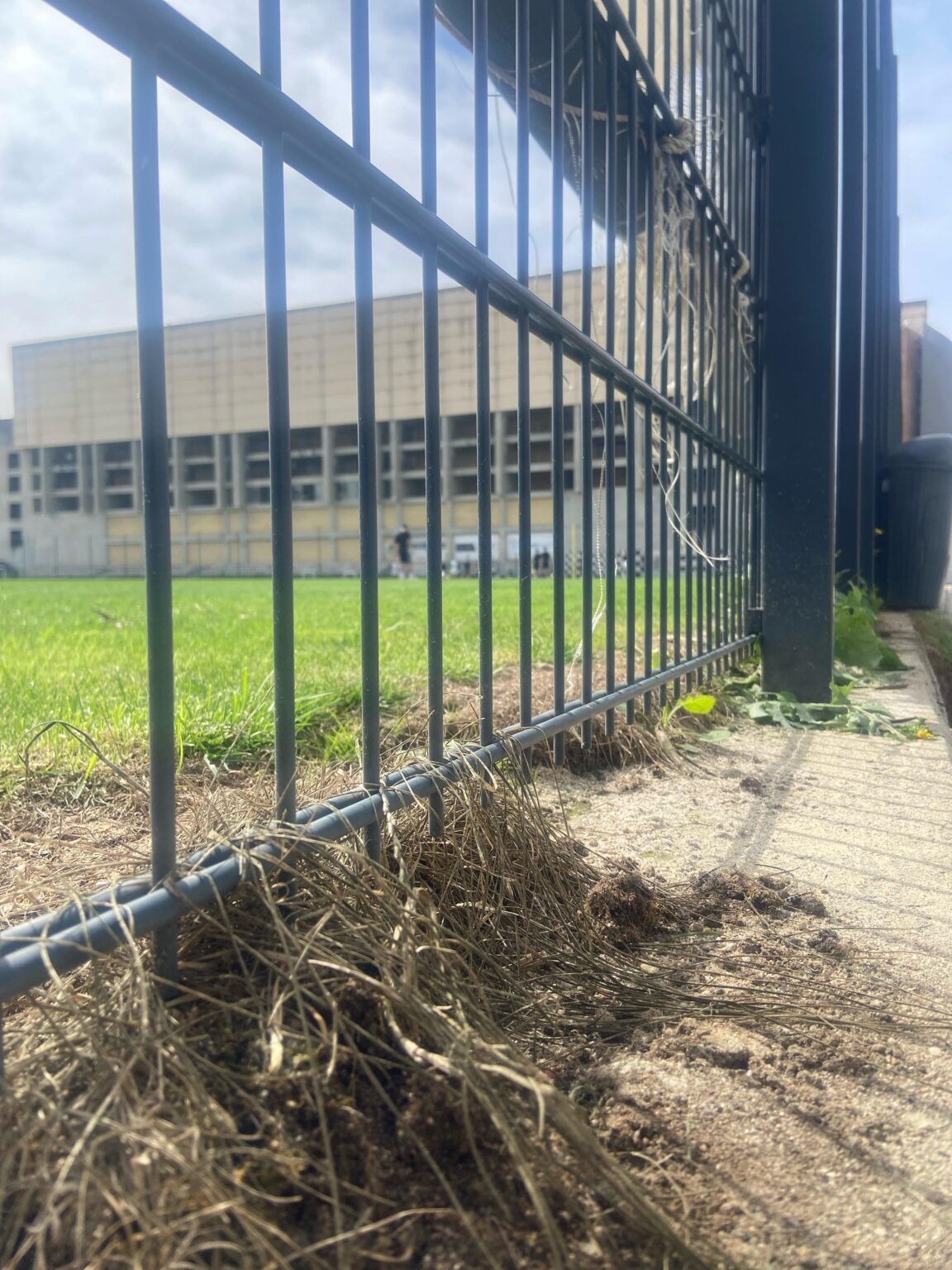 Treino da Boavista SAD