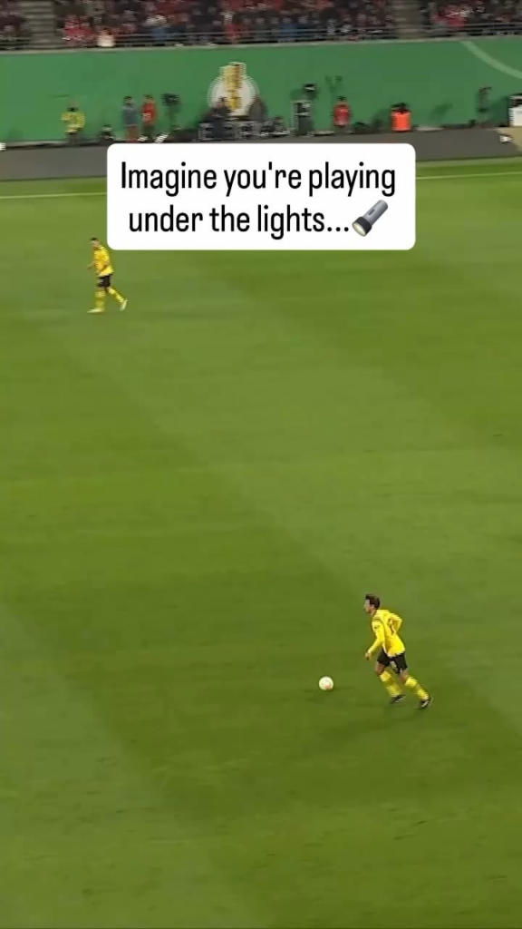 Black and Yellow, and black again...