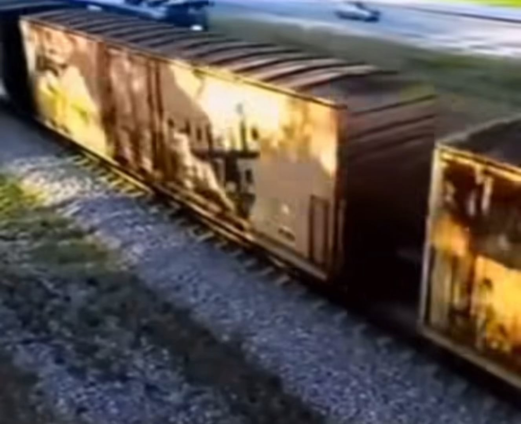 Estamos oficialmente a 1 mês das eleições do Benfica