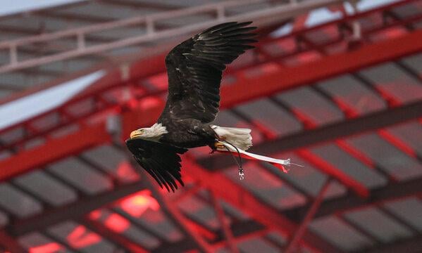 Comunicado da Mesa da Assembleia Geral - Ato eleitoral do SL Benfica