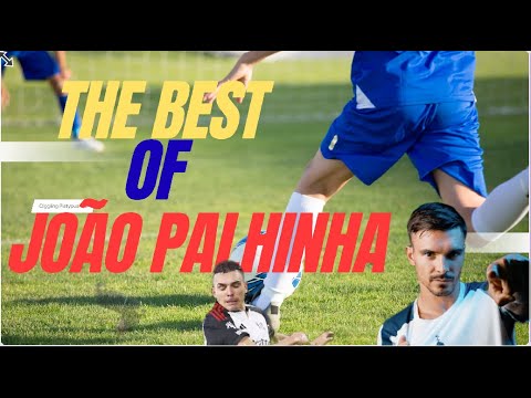 Best Of João Palhinha's From Sporting CP to Tottenham Hotspur