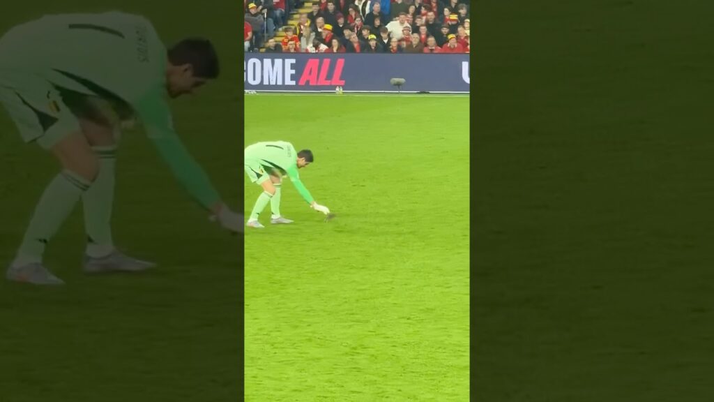 Rat on Pitch Wales vs Belgium #courtois #thibautcourtois #realmadridfc #wales #belgium #shorts