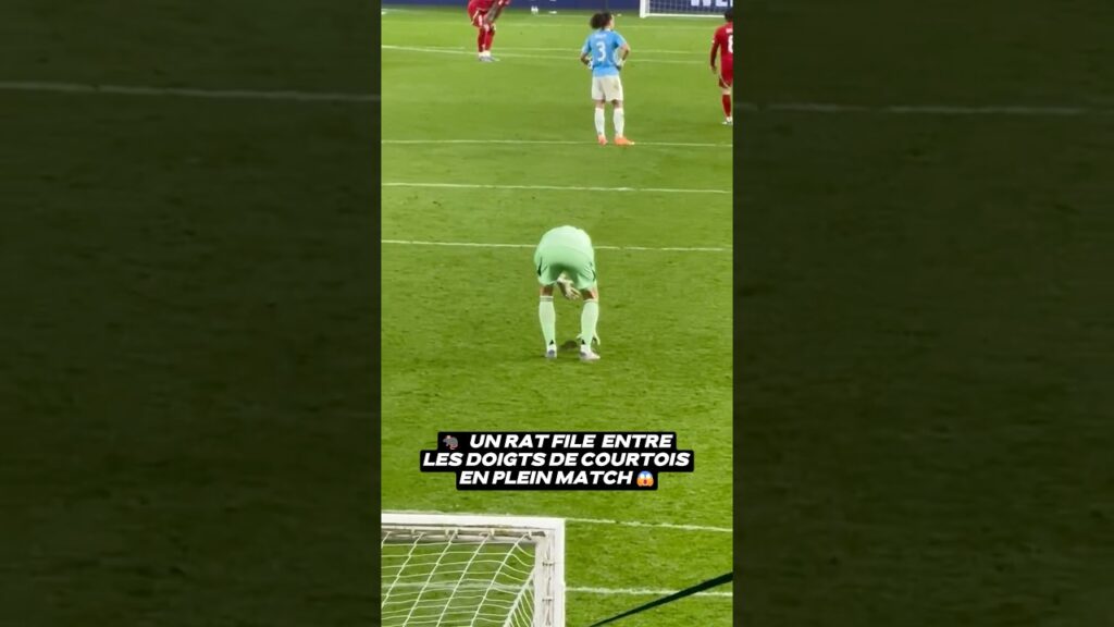 🐀​ Thibaut Courtois face à… un rat contre le Pays de Galles 😱 #football