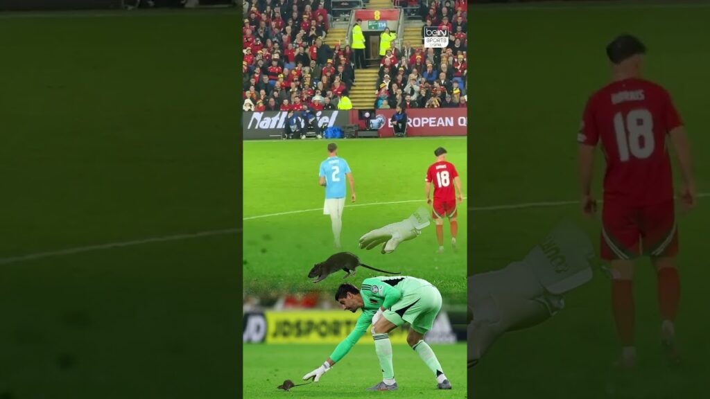 Courtois vs. The Rat: the duel we didn’t expect 🐀😂