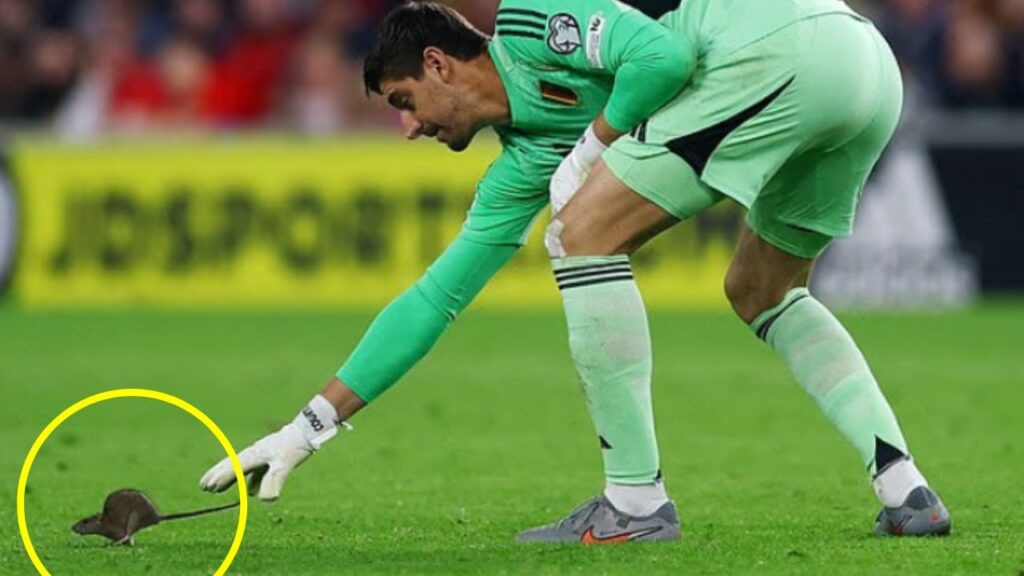 Courtois v Rat During Beligium's Win Over Wales