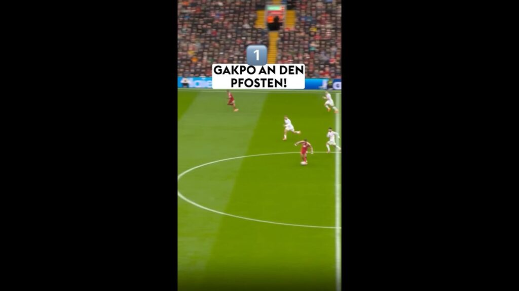 Gakpo trifft 3x ans Aluminium! 🚨