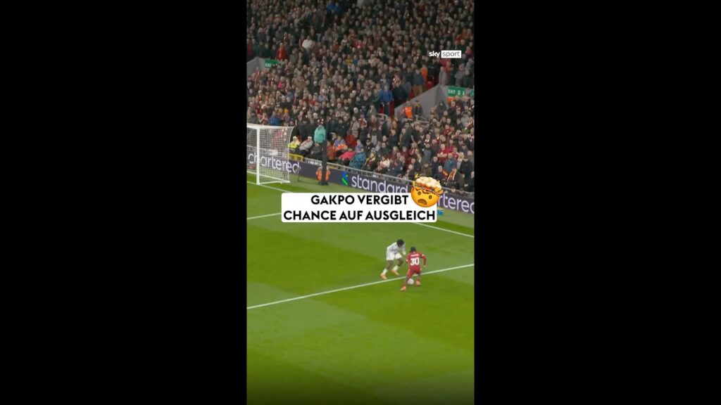 Gakpo vergibt die Riesenchance! ❌