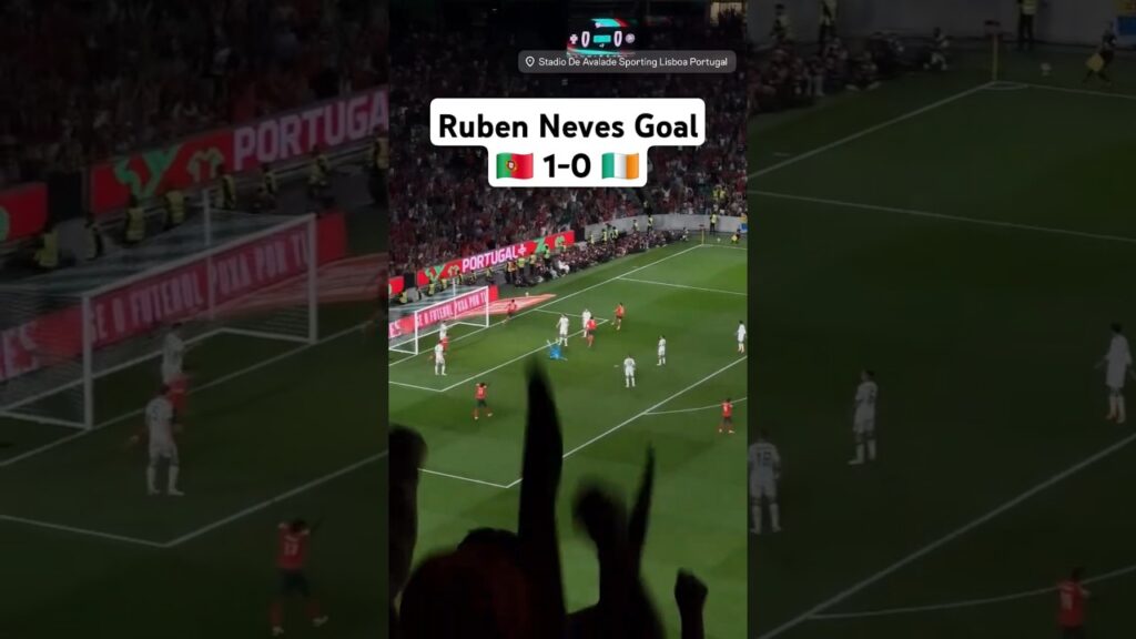 Ruben Neves Goal 🇵🇹🔥 #portugal #ireland #português #neves #rubenneves #worldcup #shorts #viral