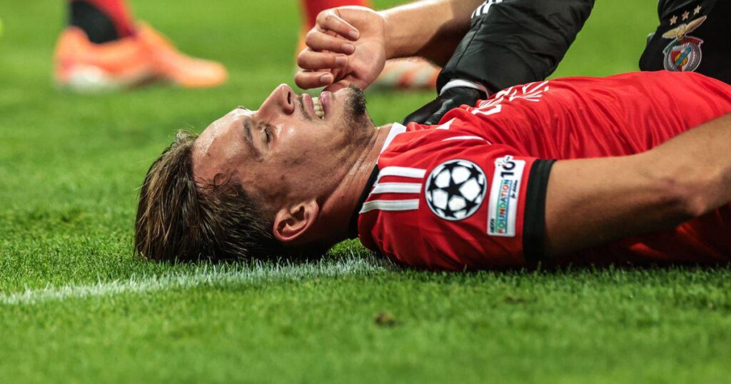 Benfica revela lesão de Dedic | A Bola