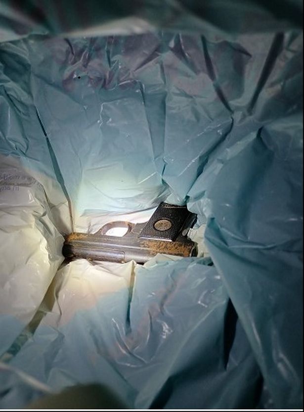 A semi-automatic pistol found in McNally's home