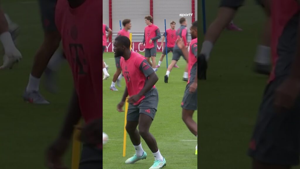 Würdet ihr mit Upamecano verlängern?