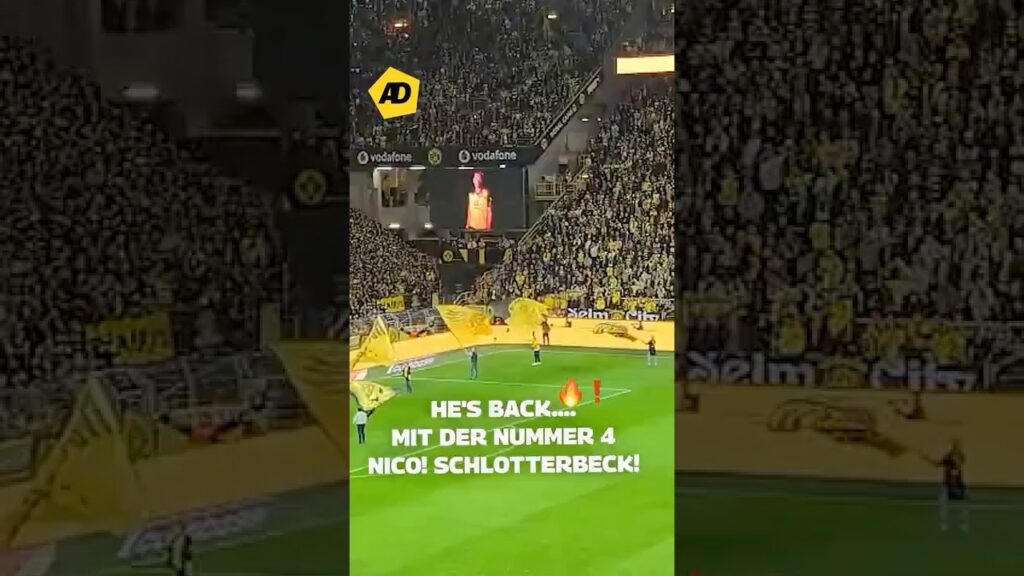 WELCOME BACK NICO! 🔥🙌