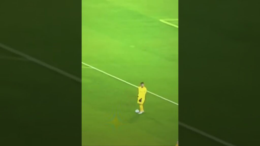 AREOLA SKILLS V PITCH INVADER | WEST HAM 2-1 ANDERLECHT