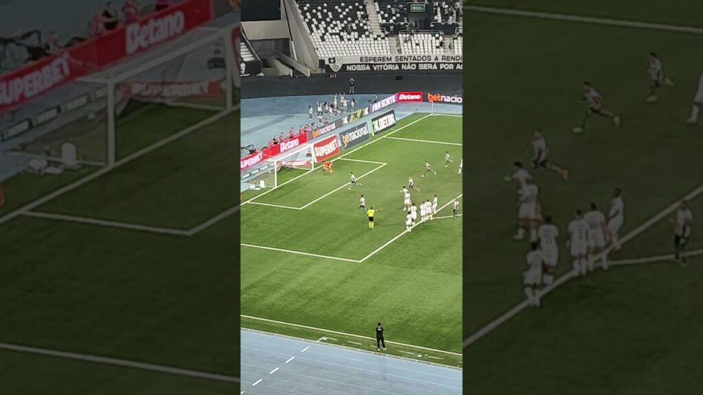 GOOOOOOOOOOLLLLL DO BOTAFOGO - ALEX TELLES