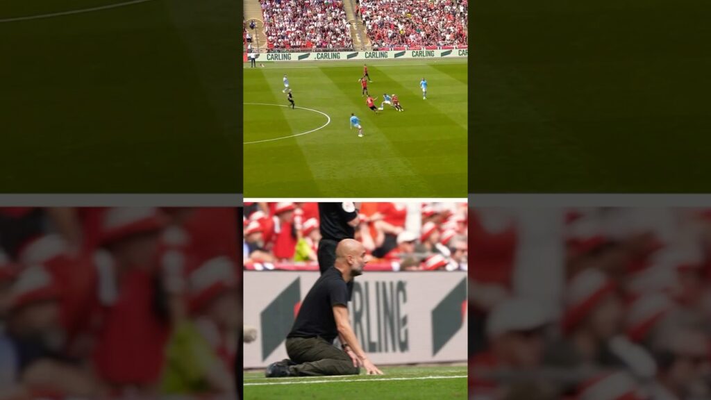 Stones to the rescue! #shorts