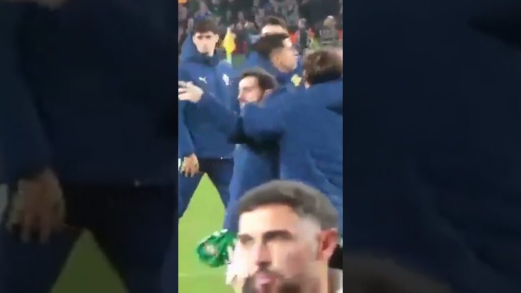 Rúben Dias e Bernardo Silva 'pegaram-se' com adeptos após derrota em Dublin