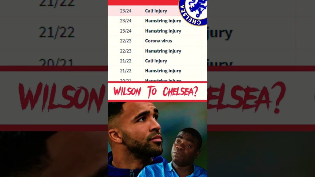 Why Chelsea Should Not Sign Callum Wilson | Chelsea Transfer News