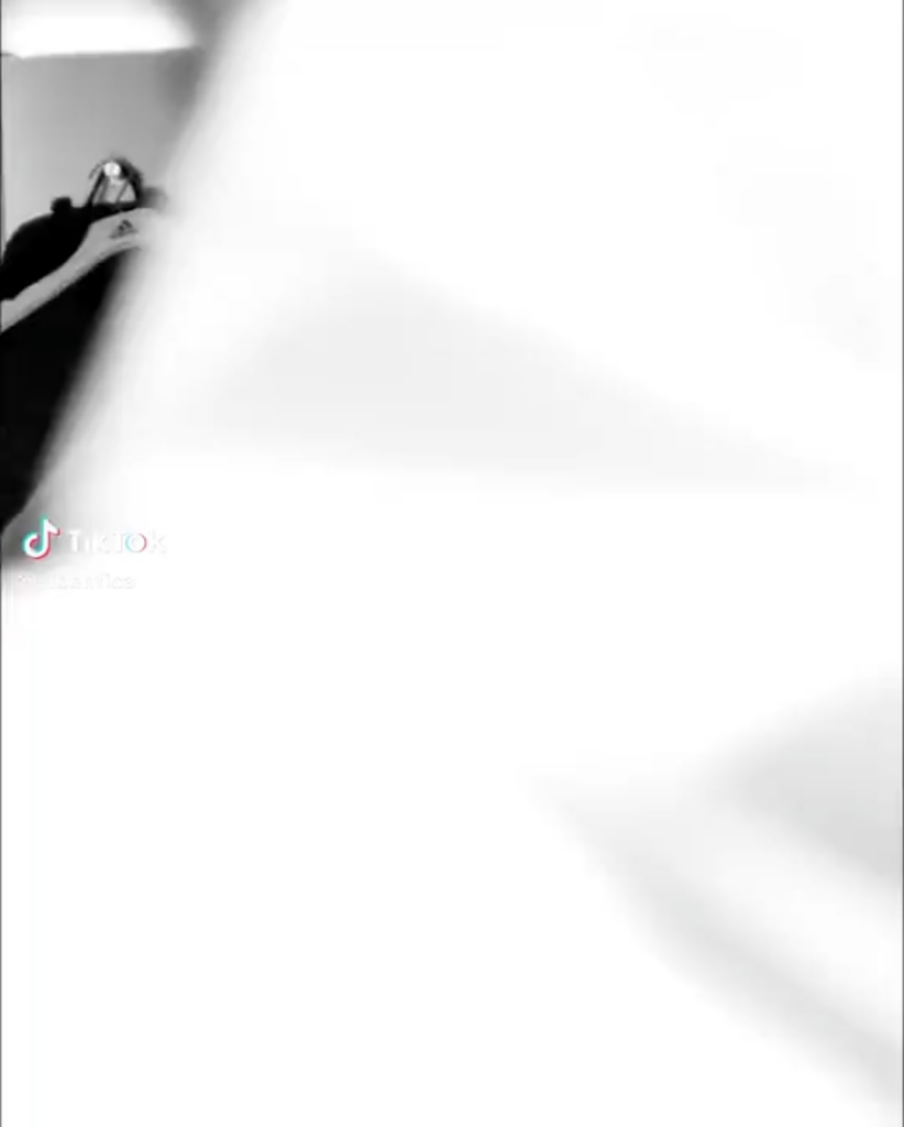 A razão para a ovação ao Dedić