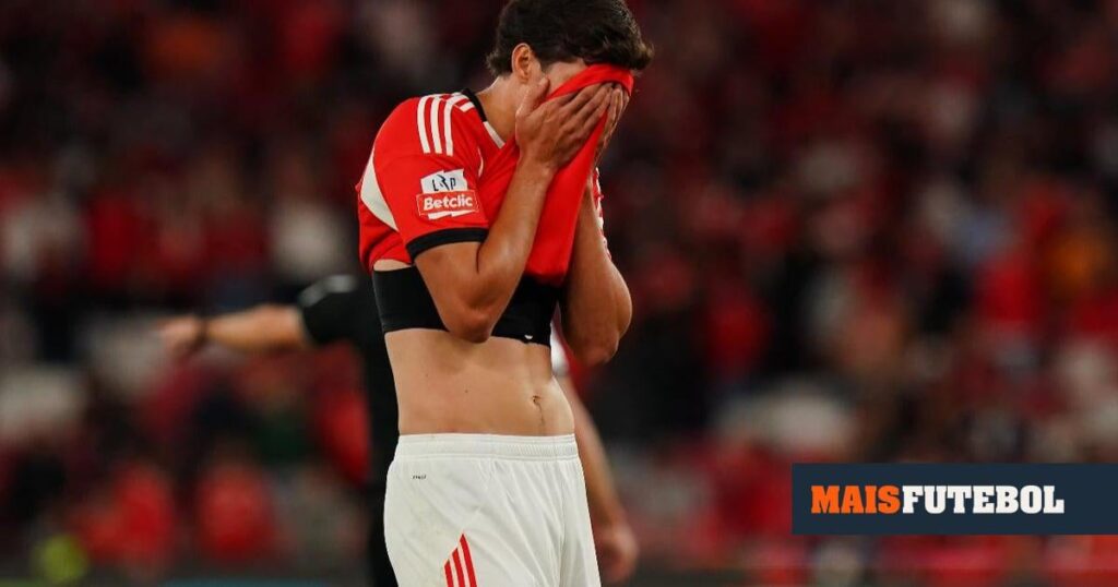 APAF faz queixa de António Silva