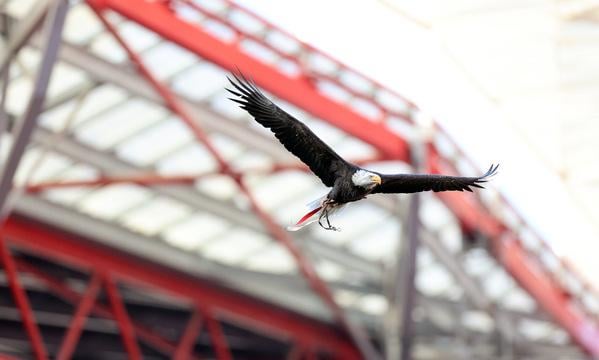 Dia B 🔴⚪ Thread Eleições Sport Lisboa e Benfica