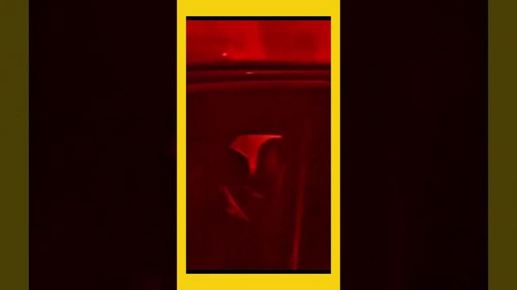 LeRoy Sane Şaşkınlığını Gizleyemiyor Galatasaray Taraftarı Meşale Show Yaparken Sane Kayıt Alıyor