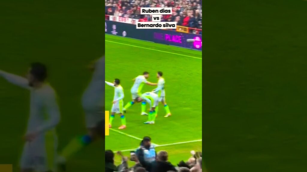 Ruben dias vs Bernardo silva