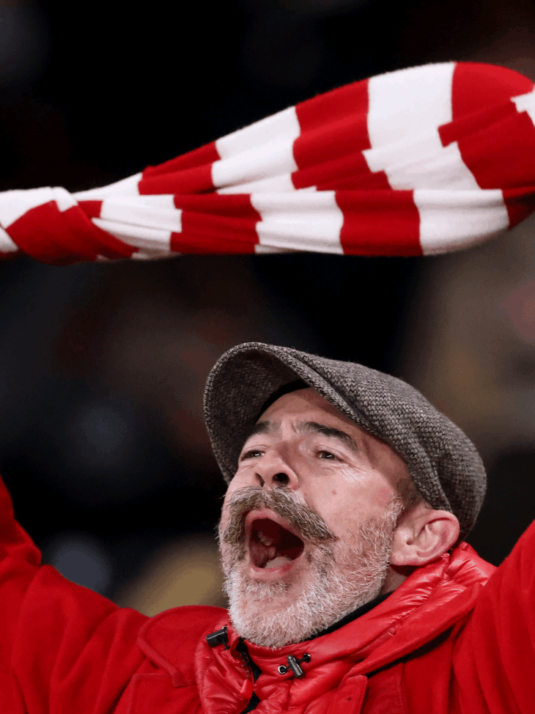 The Arsenal, captured from the stands…