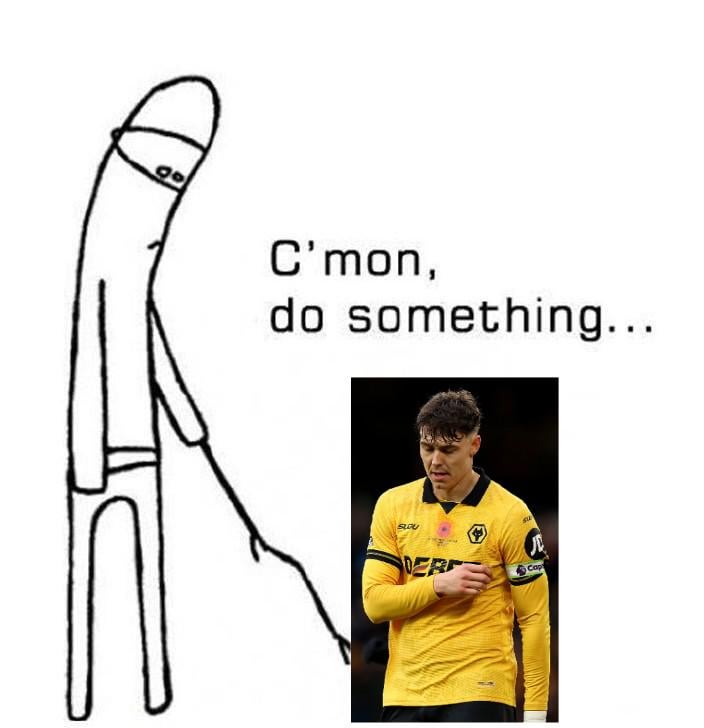Wolves fan currently