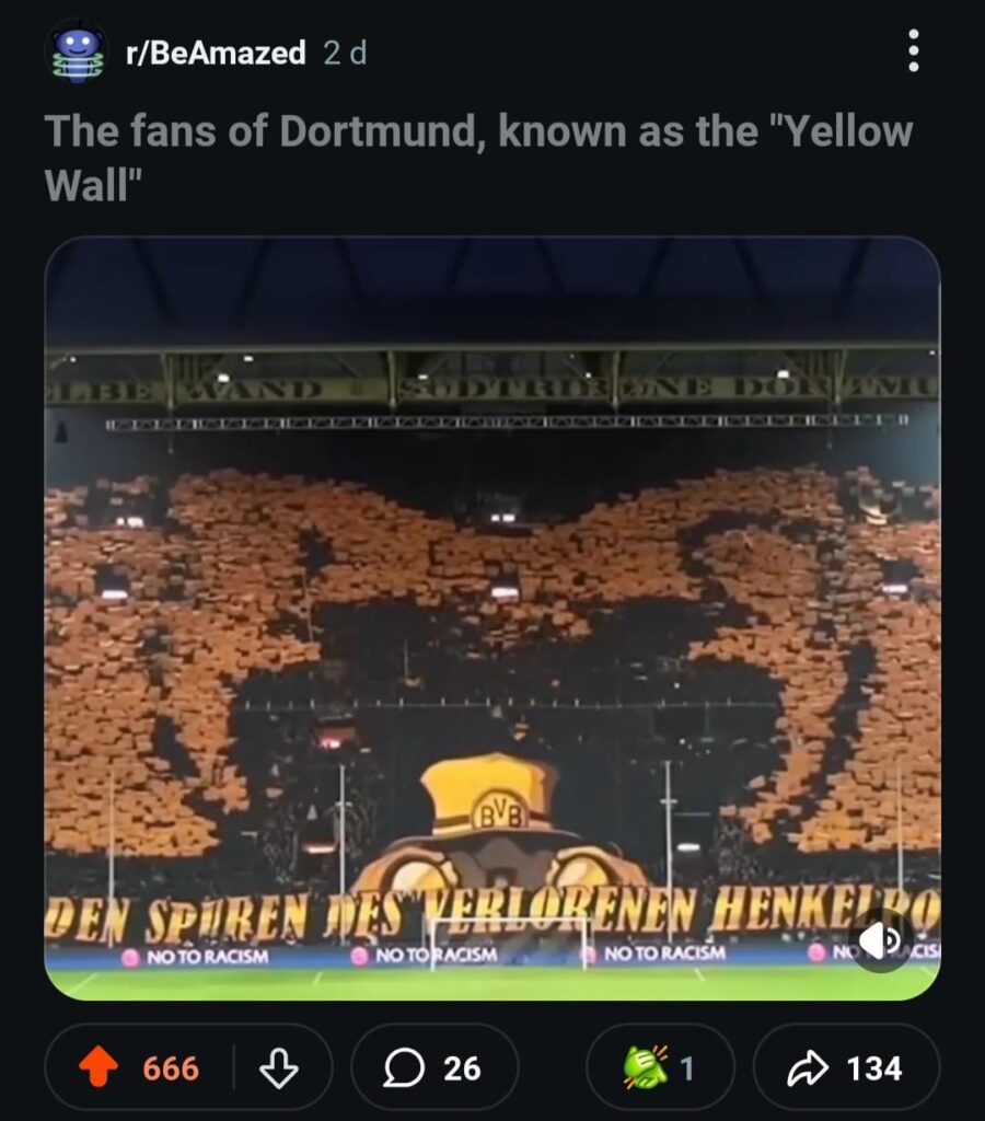 People fucking love us, by the way.