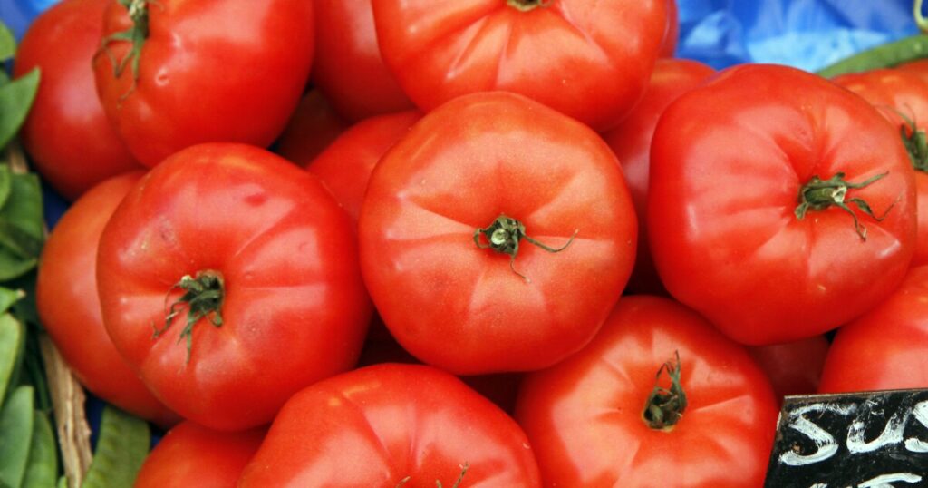 Southampton to open community garden