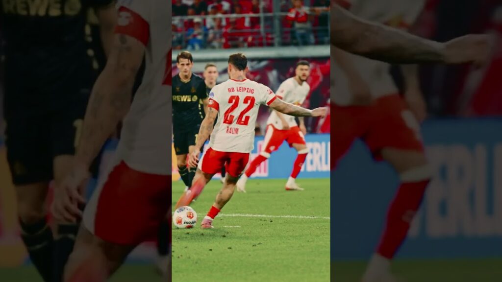 Best Of David Raum 🔥