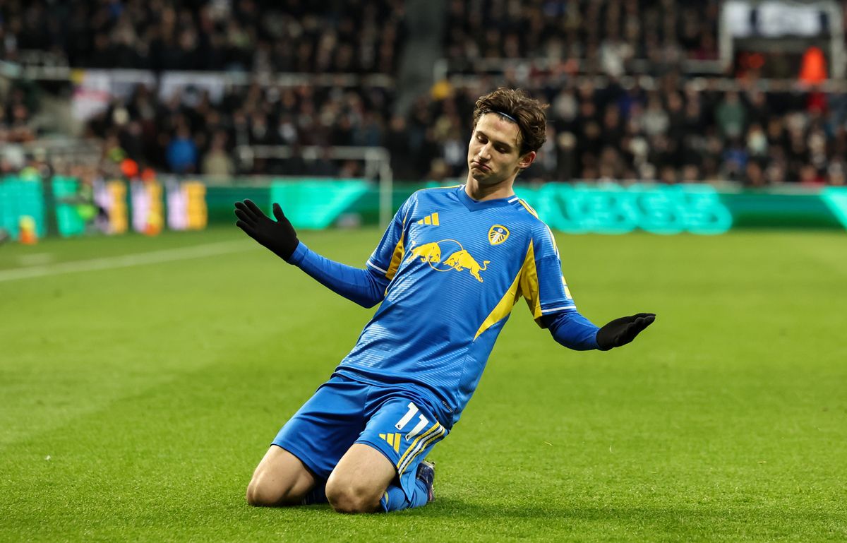 Brenden Aaronson celebrates