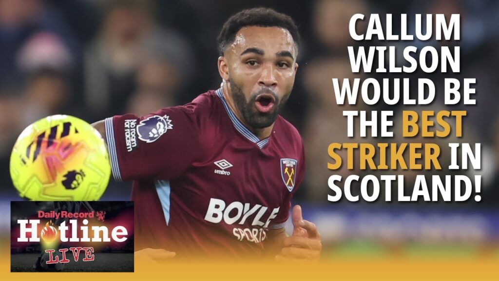 Callum Wilson would be the best striker in Scotland and O’Neill will be all over it! | Hotline Live