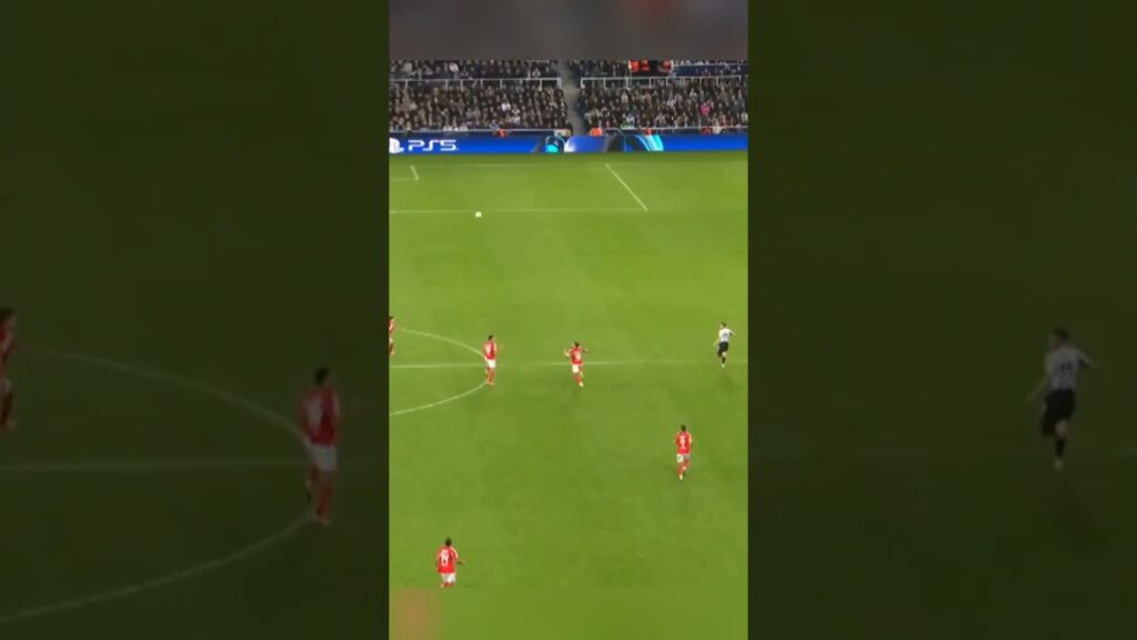 Unbelievable 65-Yard Assist! 😱 Nick Pope to Harvey Barnes | UCL Magic ✨⚽