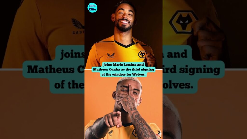 𝗦𝗮𝗿𝗮𝗯𝗶𝗮: 𝗧𝗵𝗲 𝗪𝗶𝗻𝗴𝗺𝗮𝗻 𝗪𝗼𝗹𝘃𝗲𝘀 𝗡𝗲𝗲𝗱