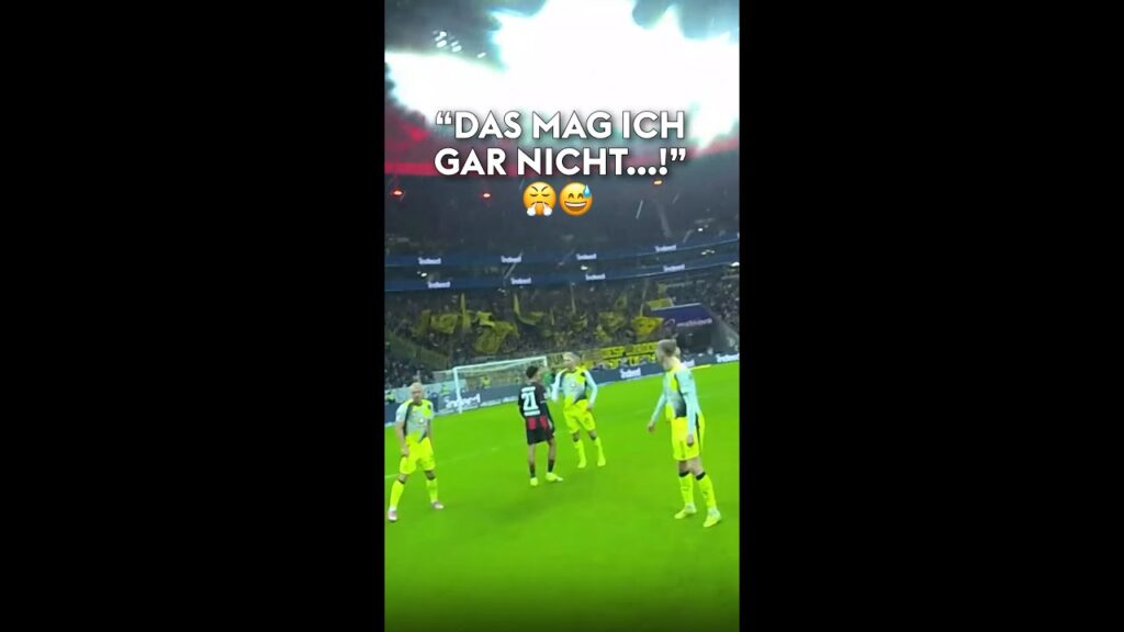 "Das mag ich GAR NICHT!" 🚨 Schiri-Cam mit interessanten Einblicken 🎥