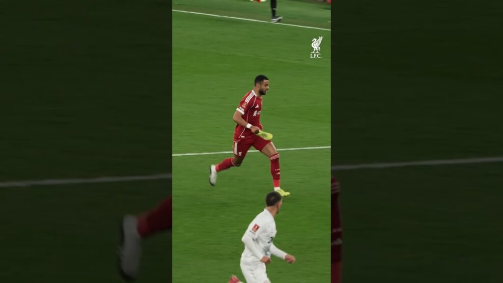 How did this happen, Cody? 😆 👟