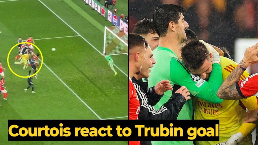 It’s a shame that Courtois celebrated with Benfica after Trubin scores goal vs Real Madrid It's a shame that Courtois celebrated with Benfica after Trubin scores goal vs Real Madrid
