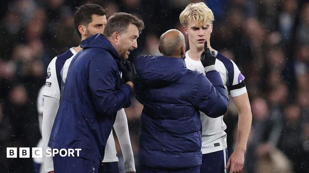 Premier League leads call for temporary concussion subtitues