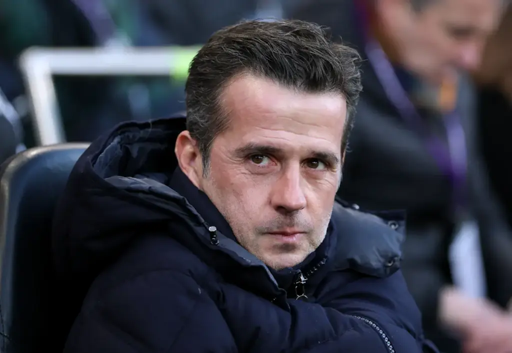 Fulham manager Marco Silva looks on from the dugout during a game