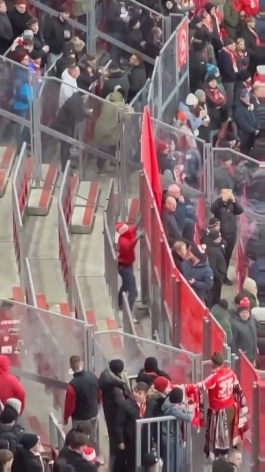 Verschönerung der RB Arena