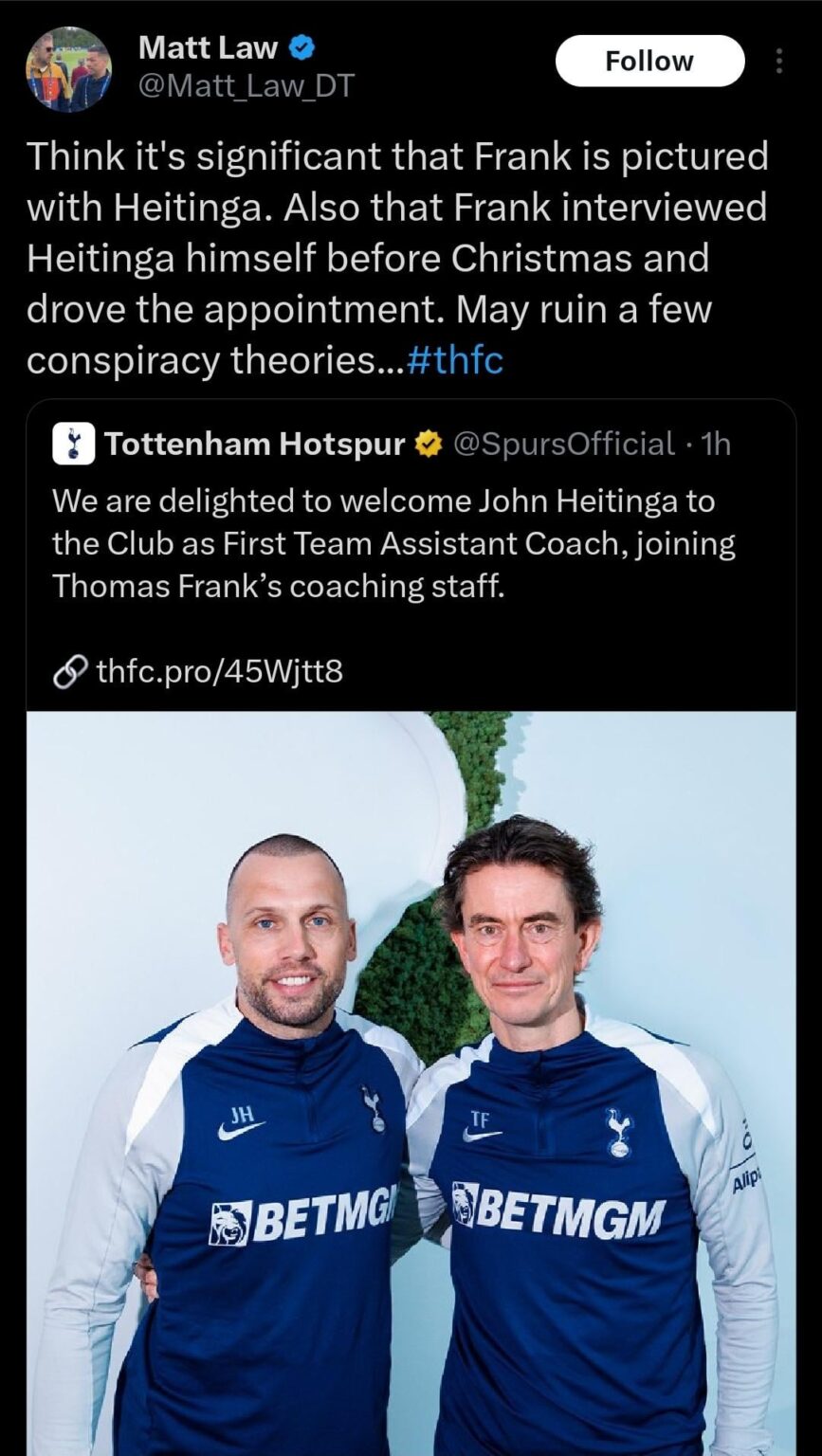 Heitinga now a Spurs coach