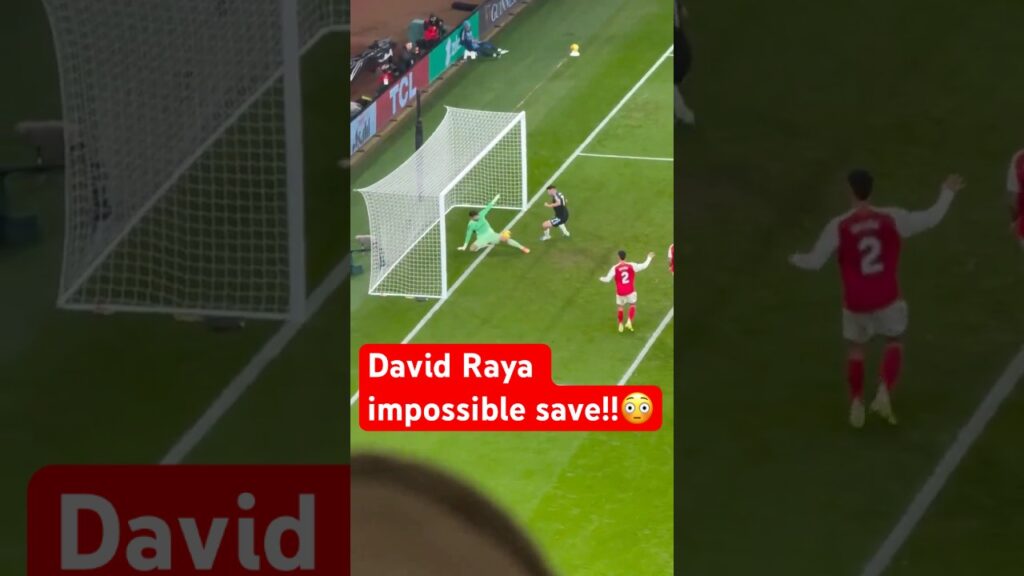 Raya is currently the best goalkeeper