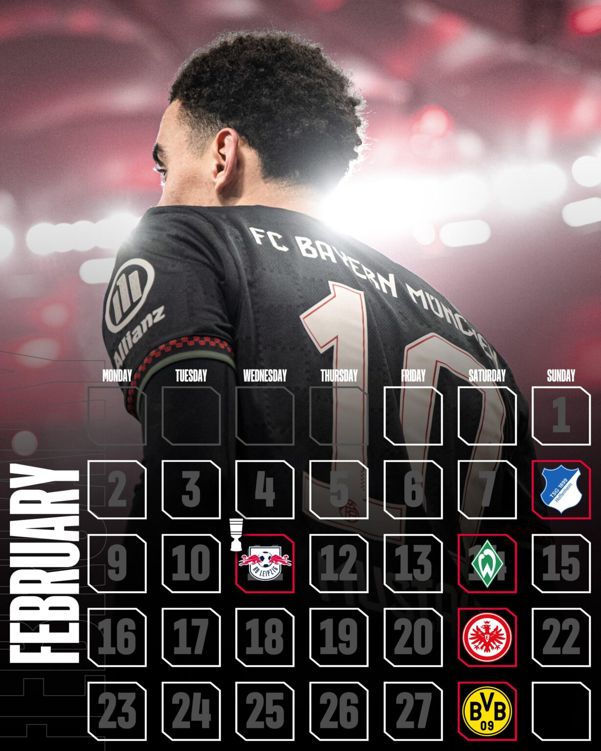 Our Schedule for February