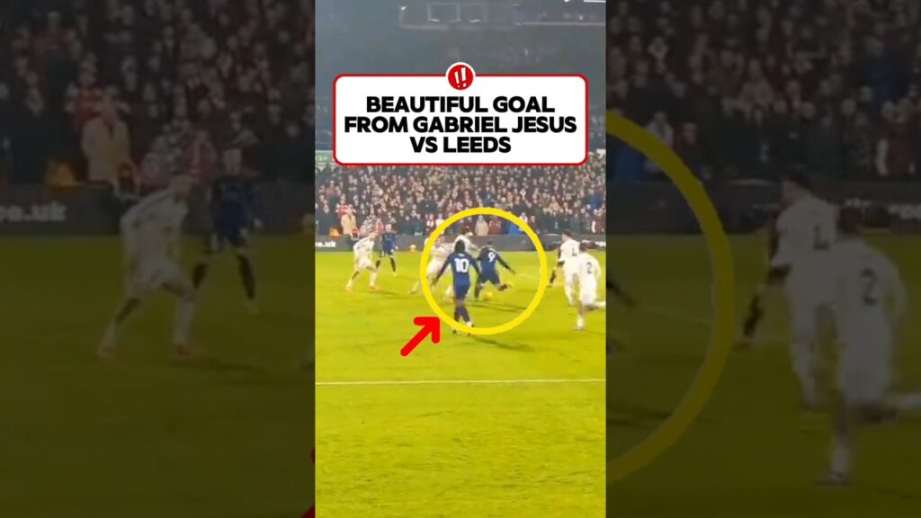 GABRIEL JESUS INSANE GOAL VS LEEDS #footballshorts