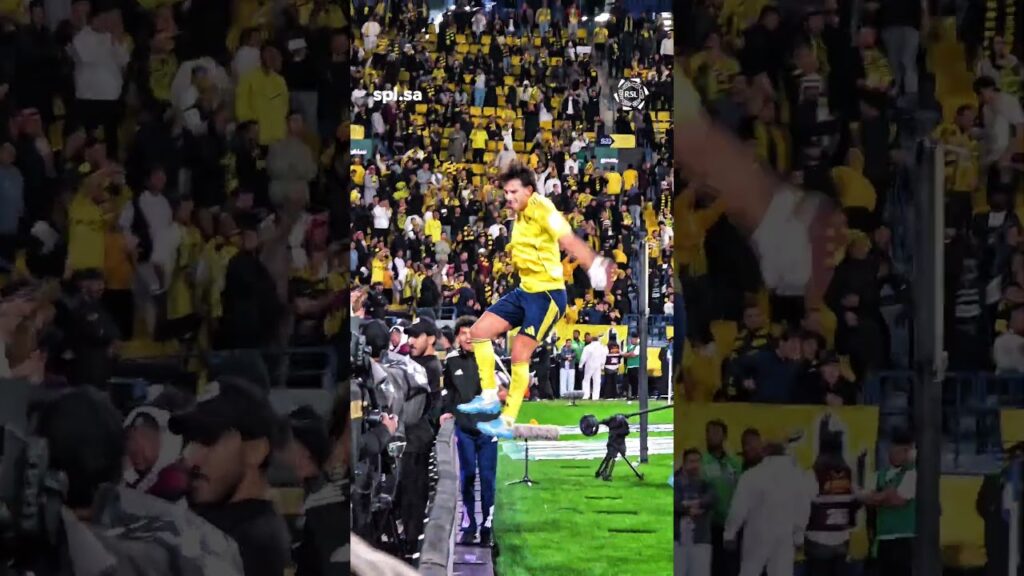 Admin's view of Ângelo's goal...and don't take your eyes off João Félix 😅 #spl